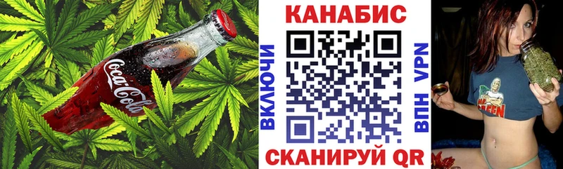 дарнет шоп  Прохладный  Cannafood конопля 