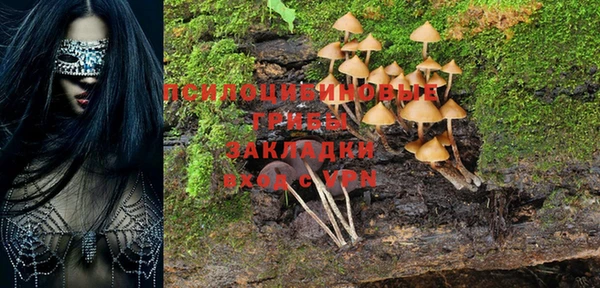 спайс Покровск