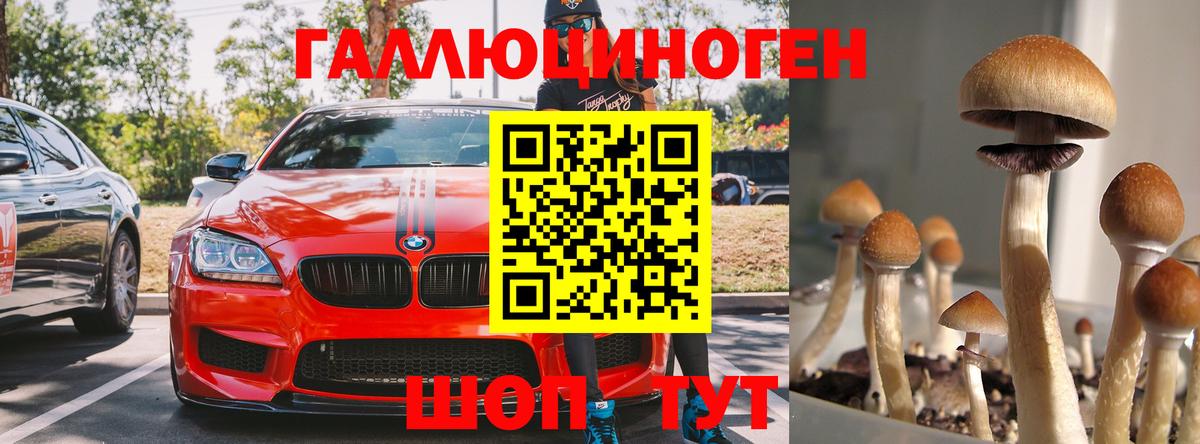 Псилоцибиновые грибы мухоморы  Вход с VPN  Прохладный 